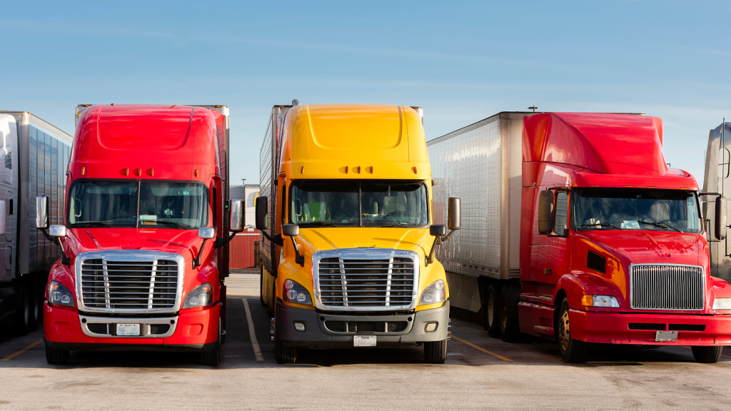 הובלות בקריות