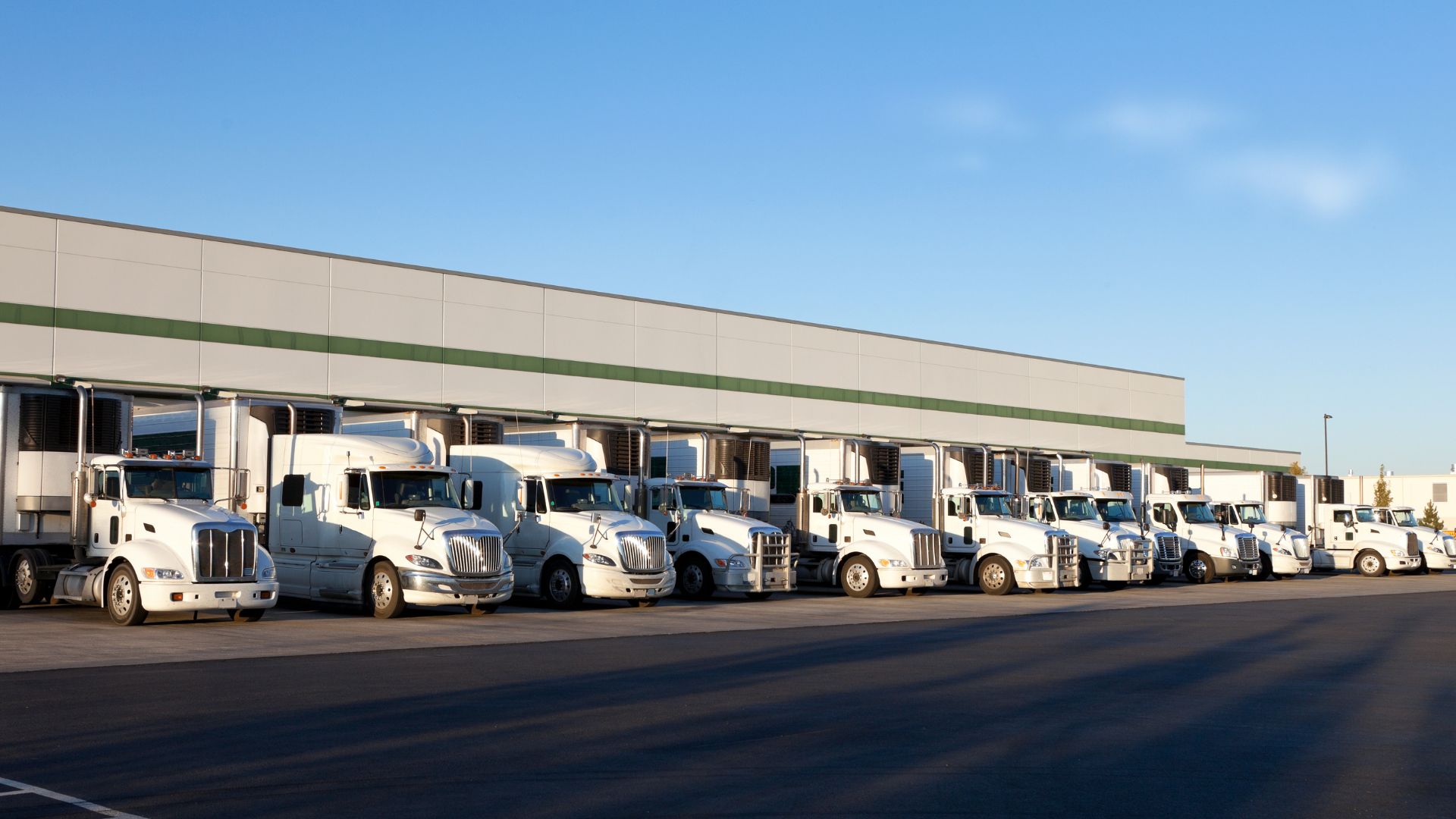 חברת הפצה ושליחויות