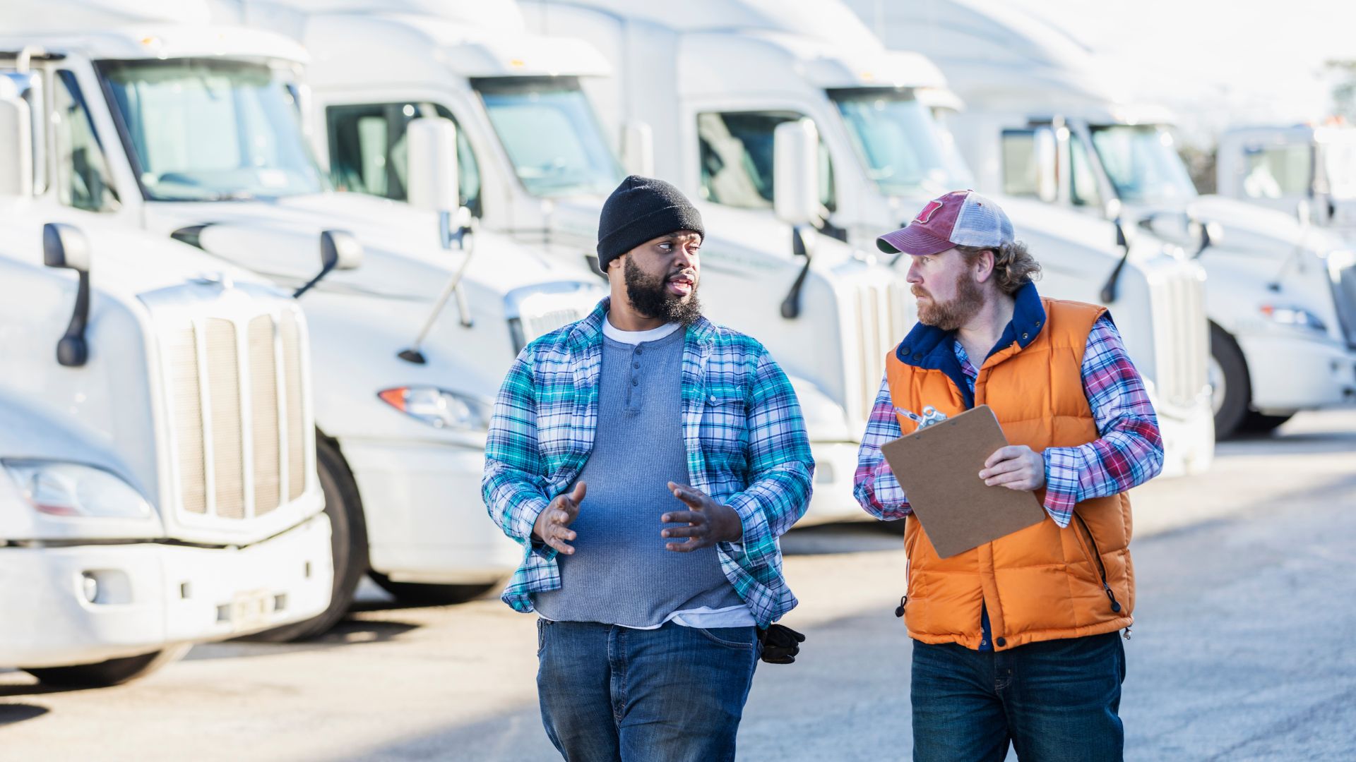 חברות הפצה ושילוח